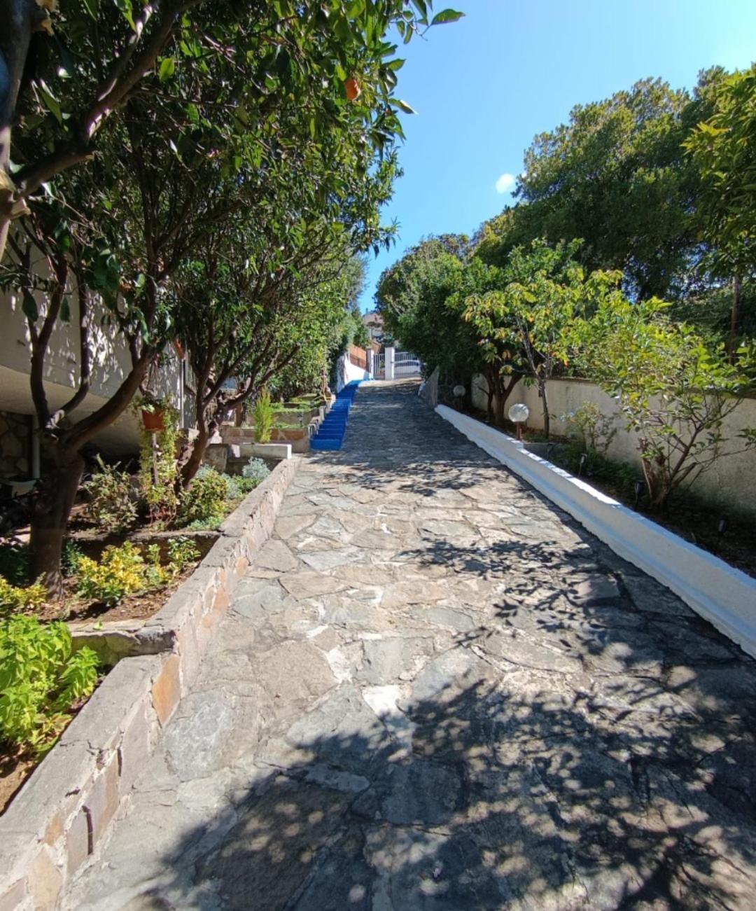 B&B Terramare Montiano  Ngoại thất bức ảnh